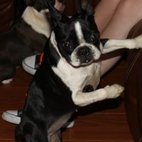 Debra Dent Photo 23