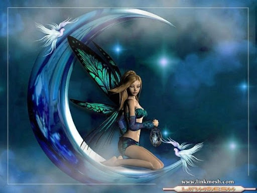 Carmen Villarreal Photo 3