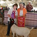 Phyllis Jefferson Photo 12