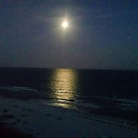 Lori Ray Photo 4