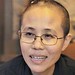 Binh Vo Photo 18