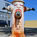 Morris Greenberg Photo 13
