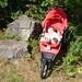 James Dykes Photo 36