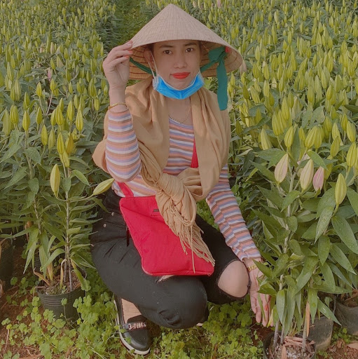 Phuong Le Photo 5