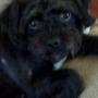 Paula Griggs Photo 21