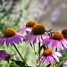 Marilyn Dugan Photo 28