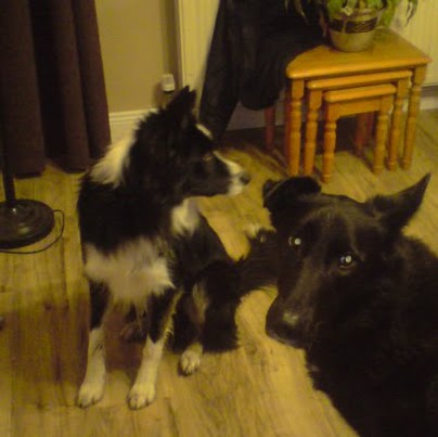 Thomas Redmond Photo 37