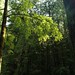 Jerry Samuels Photo 17