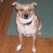 Minnie Foster Photo 5