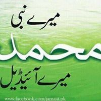 Muhammad Riaz Photo 42