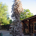 Lori Bone Photo 7