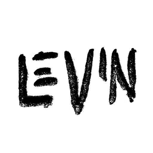 Matthew Levin Photo 30
