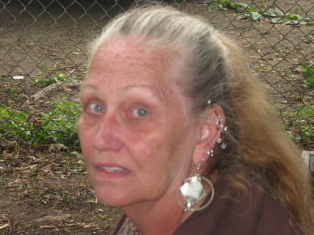 Julie Campbell Photo 45