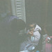 Teresa Mcneely Photo 22