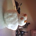 Jenny Bonner Photo 9