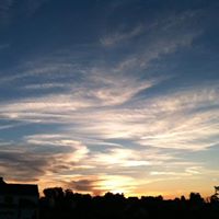Debbie Farver Photo 1