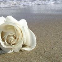 Janeth Rodriguez Photo 18