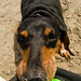Eleanor Burke Photo 28
