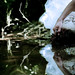 Val Palmer Photo 14