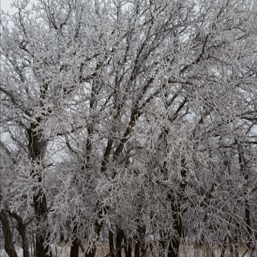 Joseph Rich Photo 33