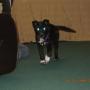 Ken Willis Photo 22