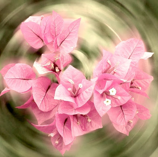 Sarah Wever Photo 6