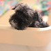 Kevin Yi Photo 22