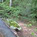 Kathy Moss Photo 29