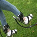 Gillian Powers Photo 9