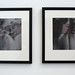Sarah Mcdermott Photo 20