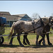 Debbie Dugger Photo 16