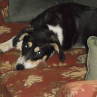 Deborah Whitehead Photo 19
