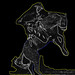 Wayne Black Photo 39