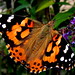 Nancy Kinder Photo 7