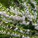 Heather Kirby Photo 21