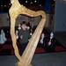 Shane Harp Photo 10