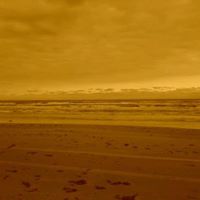 Mildred Matthews Photo 7