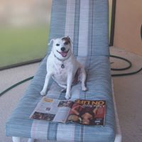 Sadie Schultz Photo 11