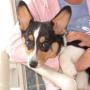 Susan Bonilla Photo 14