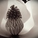 James Fairchild Photo 37