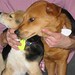 Sallie Foster Photo 19