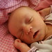 Debbie Steele Photo 25