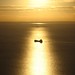 Phillip Chapman Photo 42