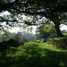 Steven Slack Photo 19