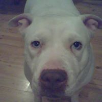 Rosa Hamilton Photo 11