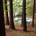 Teresa Woodside Photo 9