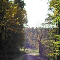 Janice Neff Photo 20