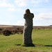 Warren Starkey Photo 9