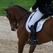 Phillip Conner Photo 35