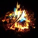 Julie Goins Photo 14